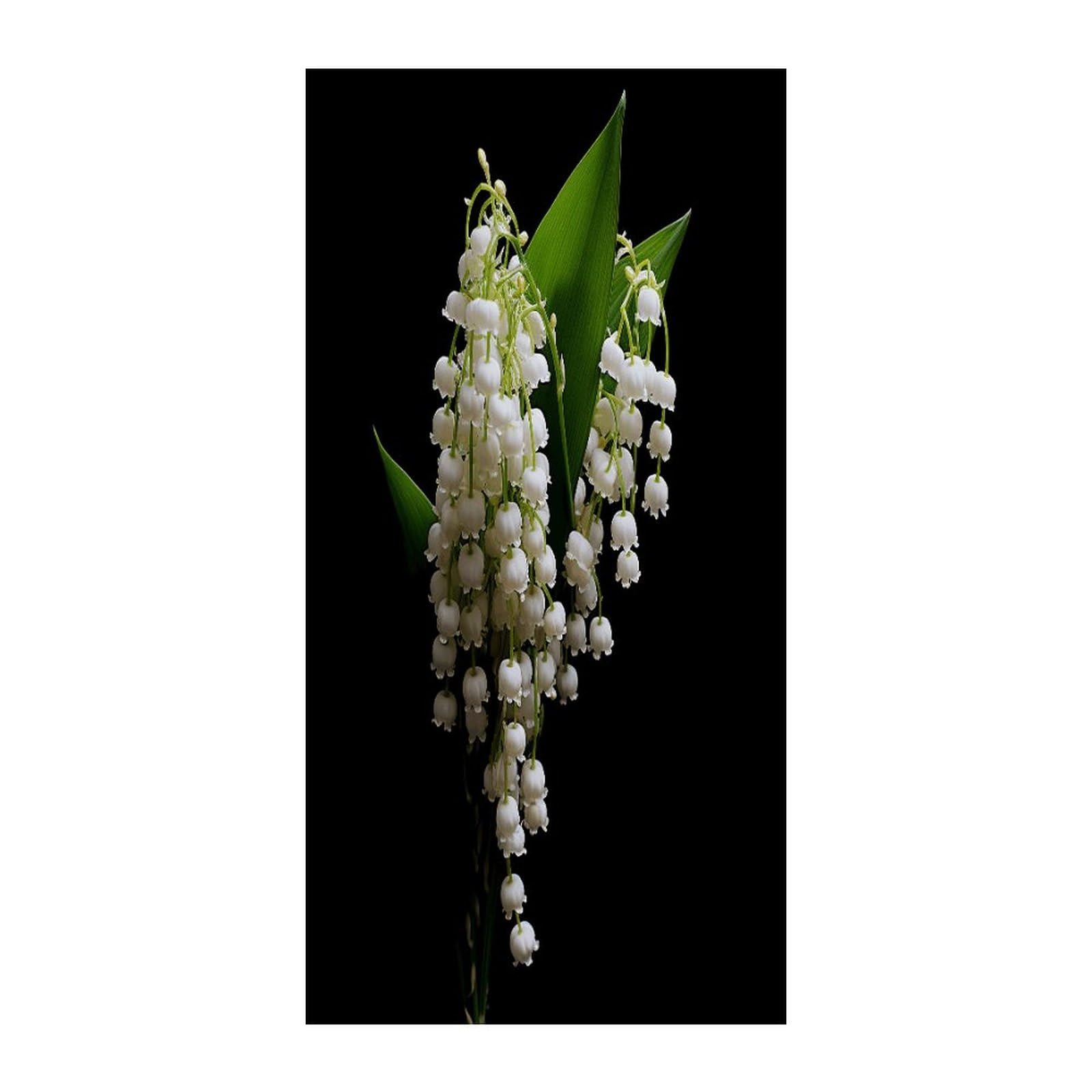 Fekiloot Style Some Lilies Of The Valley Door Curtain Room Divider Curtains