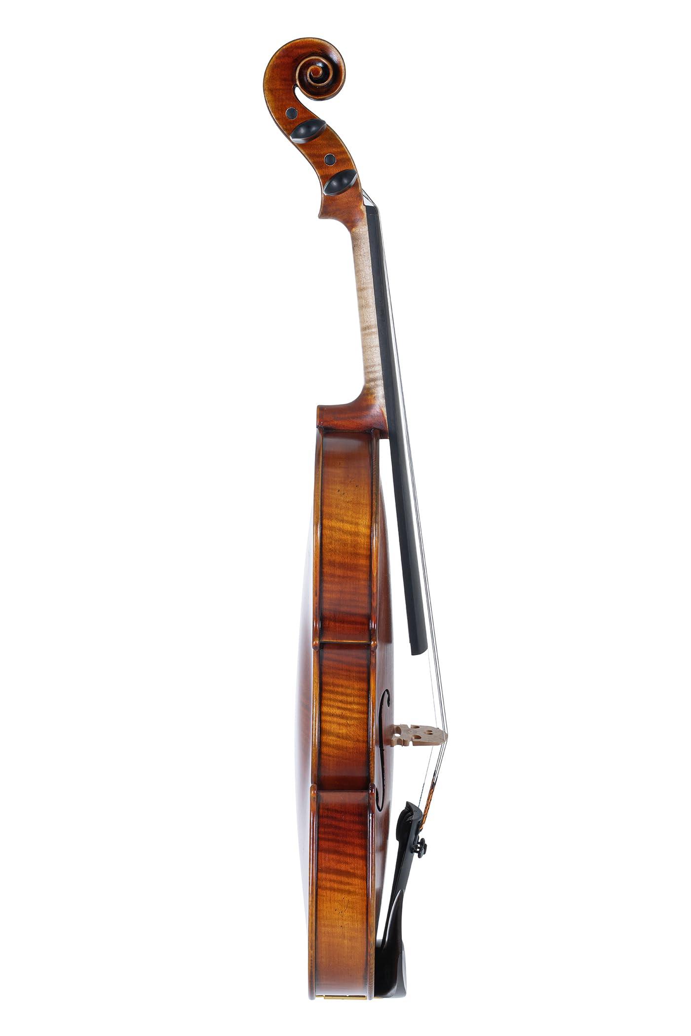 GEWA, set di violini serie Maestro 2 VL 4, 1/2 pronto per l'uso incl. custodia, arco Massaranduba e corde Larsen Aurora