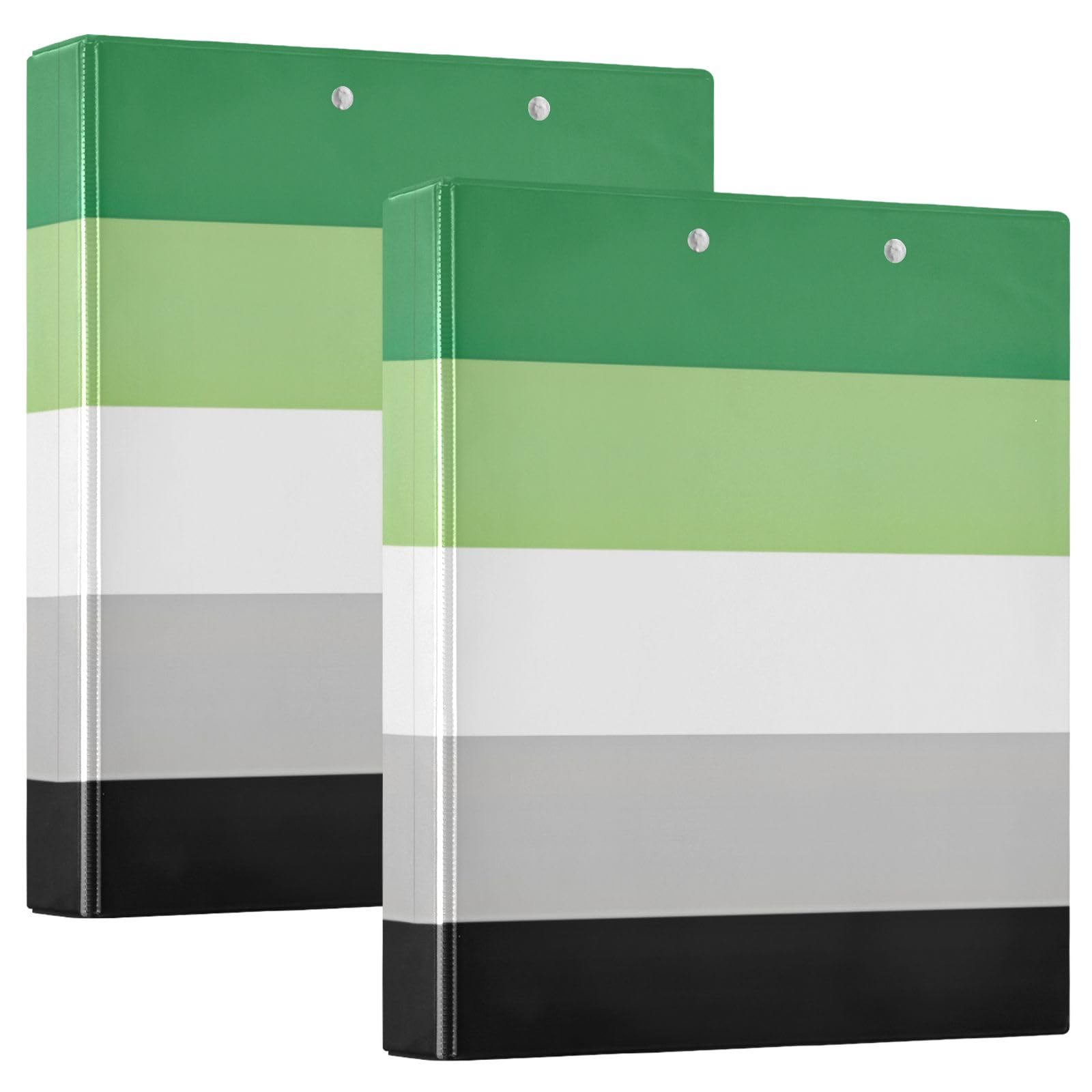 Aromantic Flag Pride - Raccoglitori a 3 anelli da 3,8 cm, confezione da 2, decorativi, contiene 200 fogli, per lavoro, scuola, ufficio