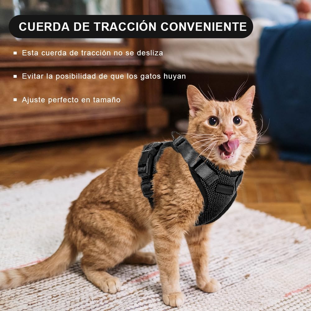 Voarge Harnais pour Chat Réglable avec Laisse de 150 cm - Sécurité pour Chats Adultes, Petits, Moyens et Grands, Chiots - Idéal pour la Marche et les V