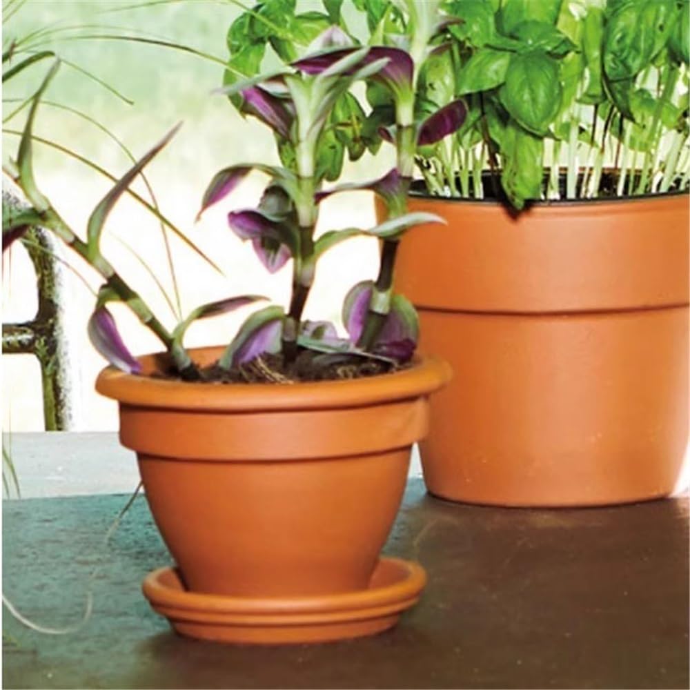 Versatile Sottovaso for piante in vaso piccolo in terracotta da 5,1 pollici