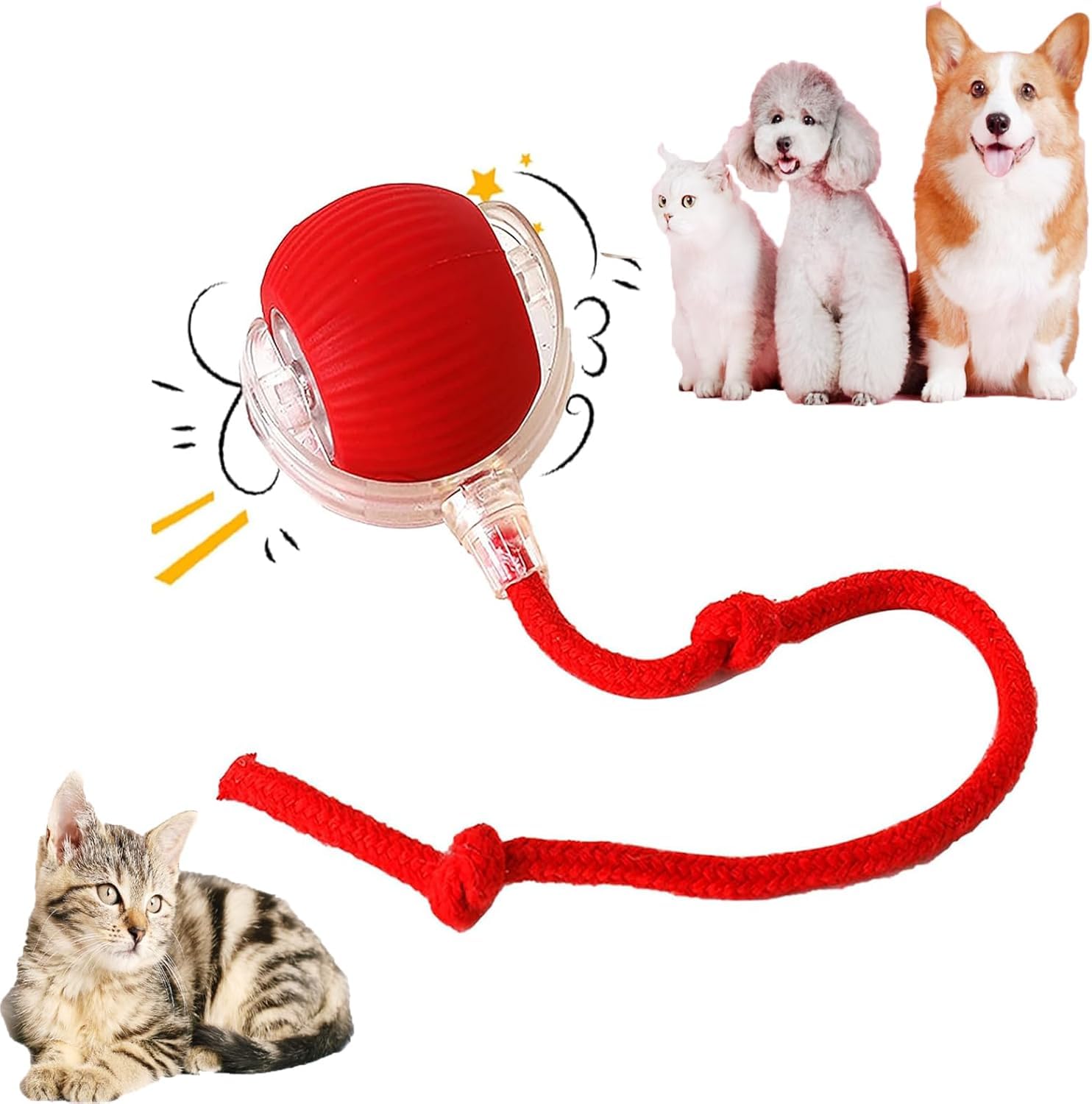 HOIDOKLY 2024 Juguete Interactivo para Gatos, Juguete eléctrico con USB Recargable, Tres Modos de Trabajo, 360 ° Smart Automatic Rolling Pet Ball (Rojo)