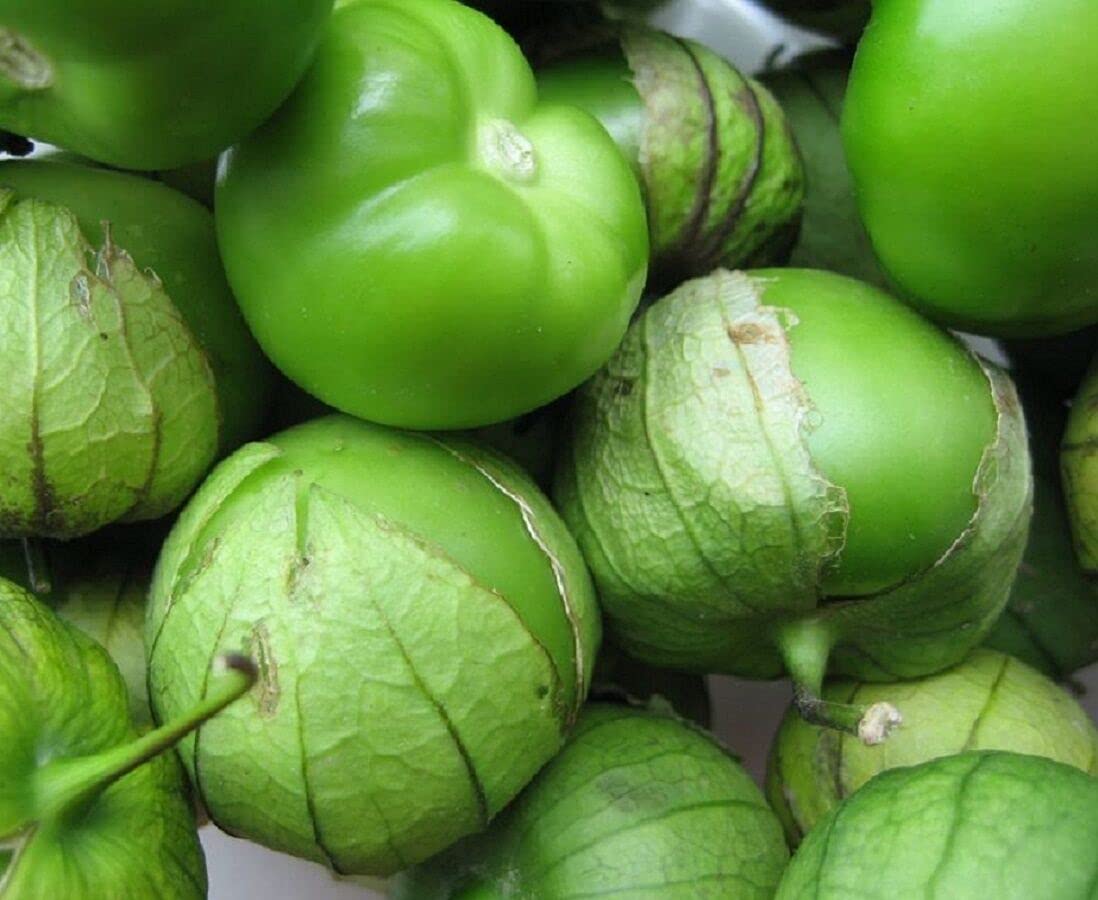 Buy Verde Tomatillo Physalis ixocarpa Vegetable Seeds, Also Known as