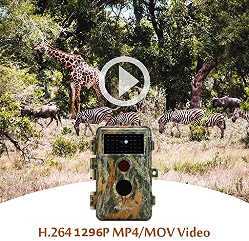 2-Pack Outdoor Game & Deer Trail Cameras Camo No Glow Night Vision 24Mp 1296P Mp4 Video For Hunting Wildlife & Home Surveillance Motion Activated Waterproof Field & Backyard Camera Photo & Video Model #TOP4