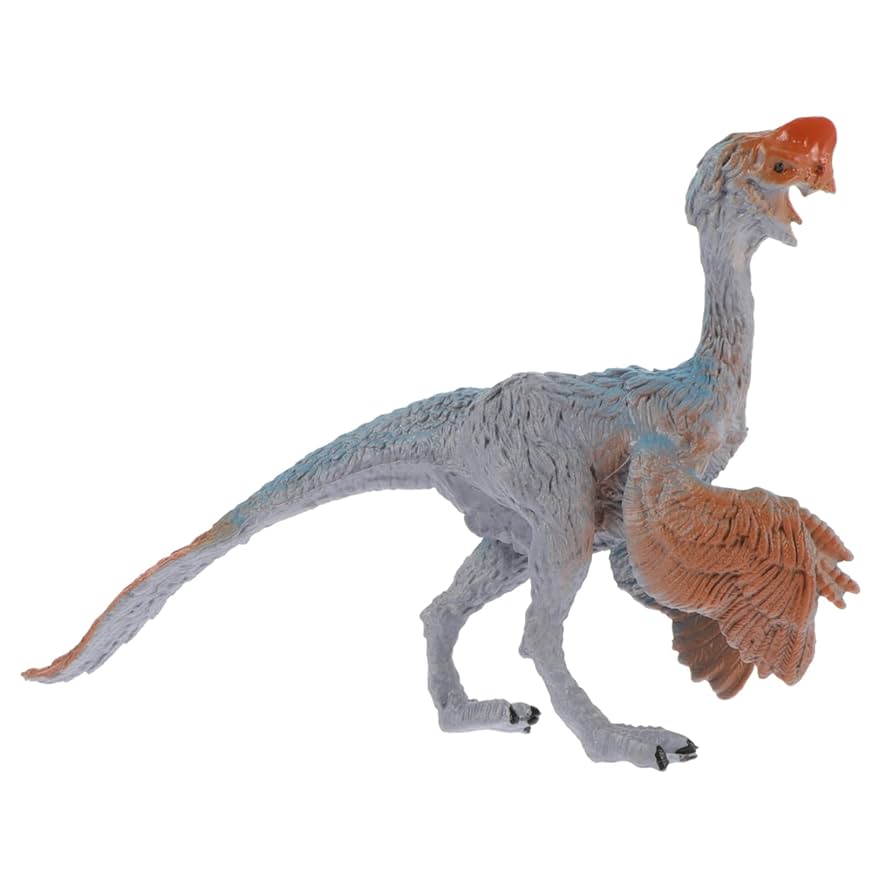 木彫　恐竜　オヴィラプトル　1/10全身骨格模型 約20cm 木彫 恐竜 オヴィラプトル 1/10全身骨格模型 約20cm 楽天市場