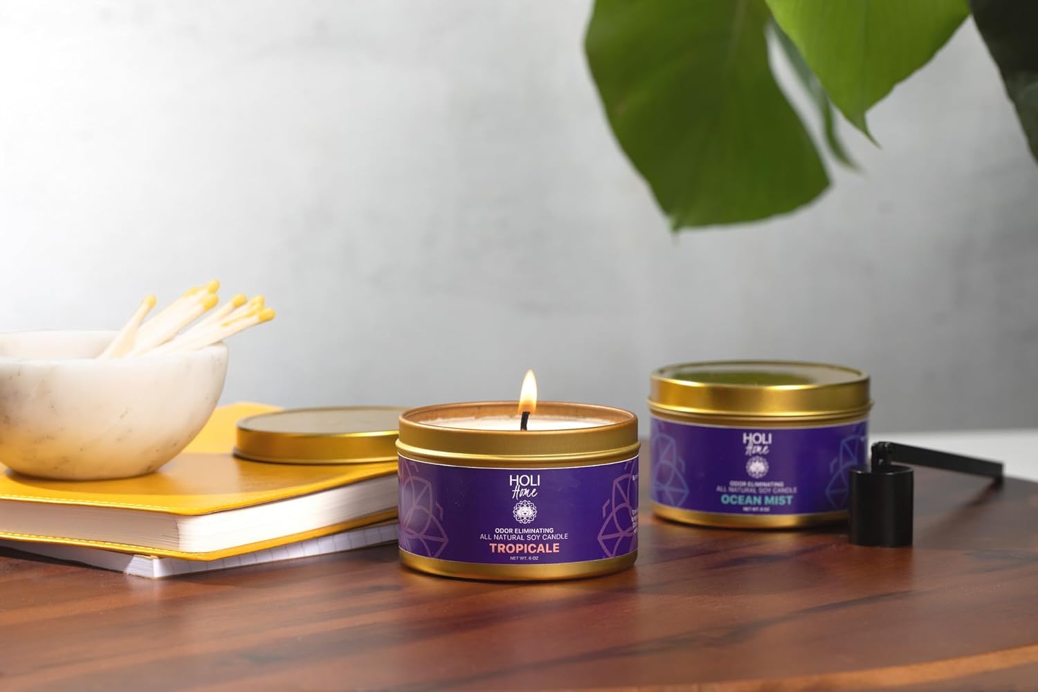 HOLI Pet Odor Eliminator Candle – Ocean Mist Scent – All Natural Soy Wax, Paraben & Phthalate Free, Pet Safe, Long-Lasting 60-Hour Burn, Non-Toxic & Plastic-Free Air Freshener for Home - Image 2