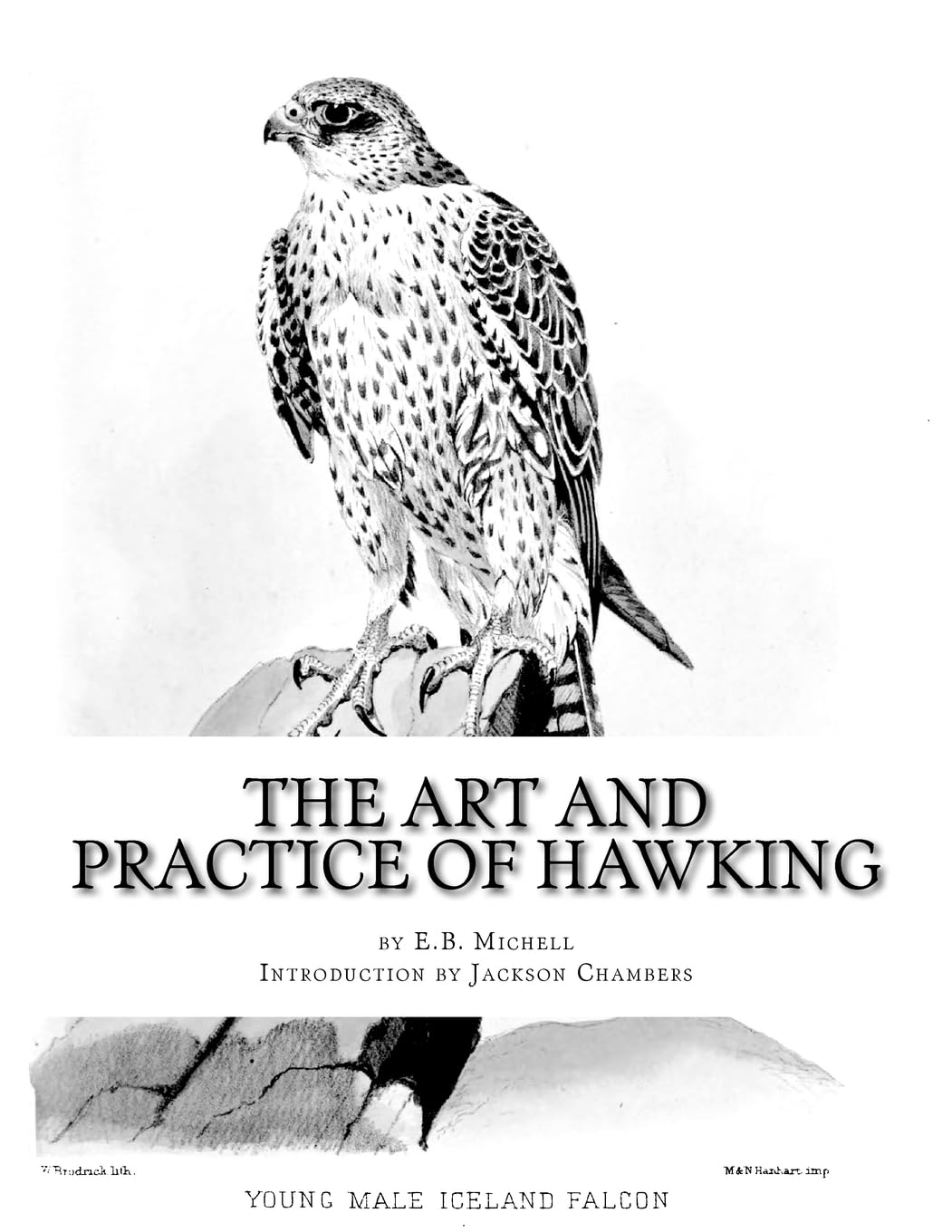 Livre Classique : L'art Et La Pratique De Hawking Par E.B. Michell (réimpression NEUVE)