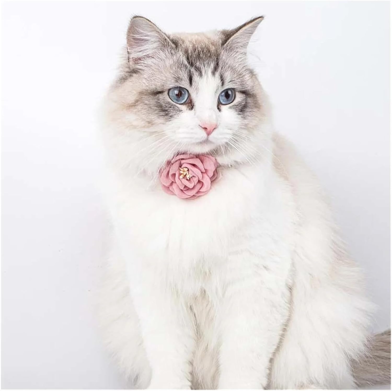 Pet Products Cat Collar Adjustable Bow Tie Cat Flower Collar Safety Button Tie Necklace Puppy and Cat Gift Pet Accessories Puppy Collar Pet Products(1)