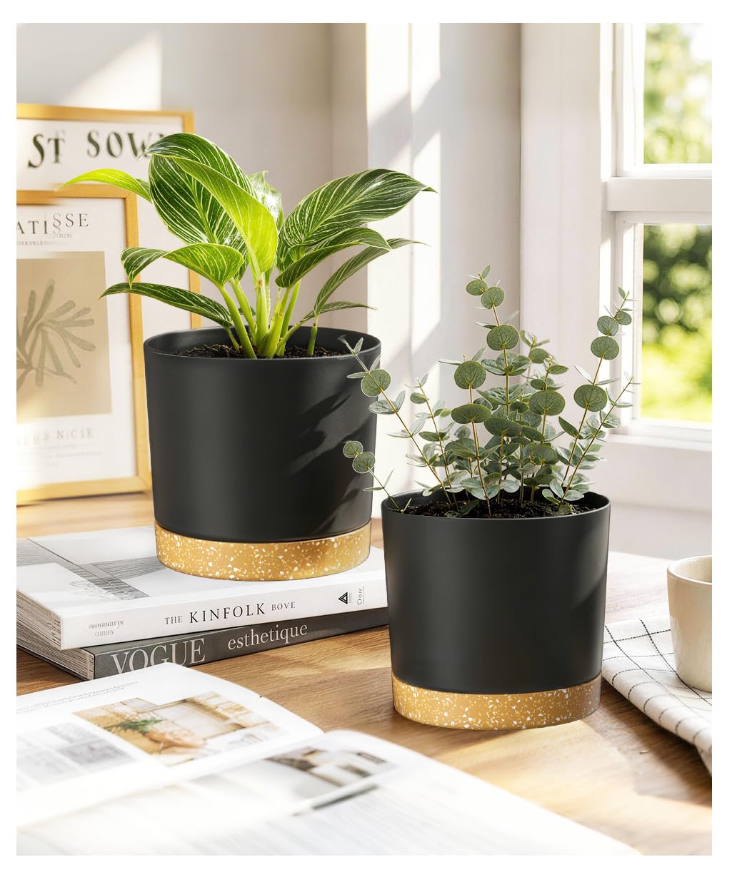 ZMTECH 2 Pack 16.5cm House Plant Pots, 6 Inch Plastic Planter with Drainage Holes & Saucer, Modern Flower Pots for Indoor Outdoor Home Garden Porch Windowsill(Dark Grey) — image 1
