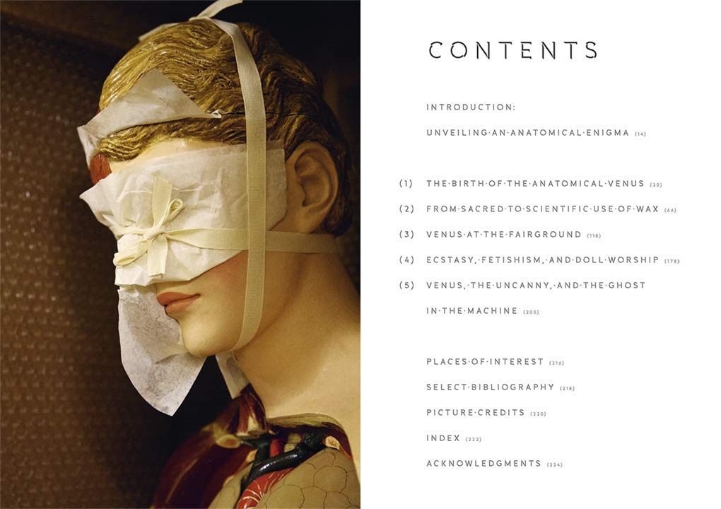 The Anatomical Venus: Wax / Sex / God / Death