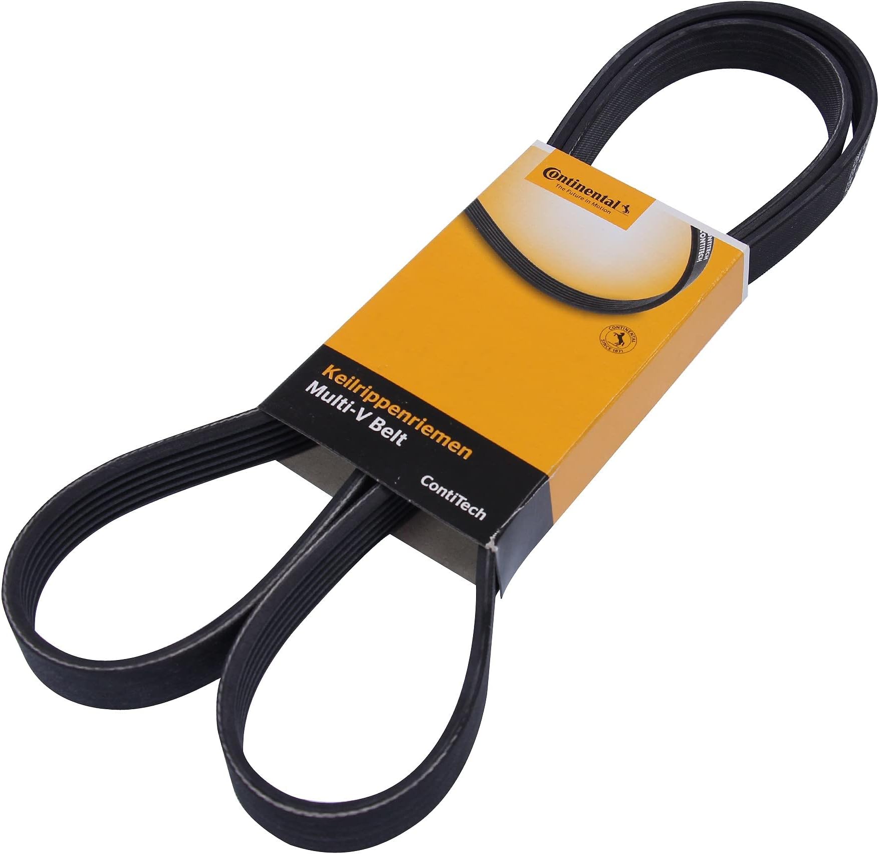 Continental 6PK1538 Metric Multi V-Belt