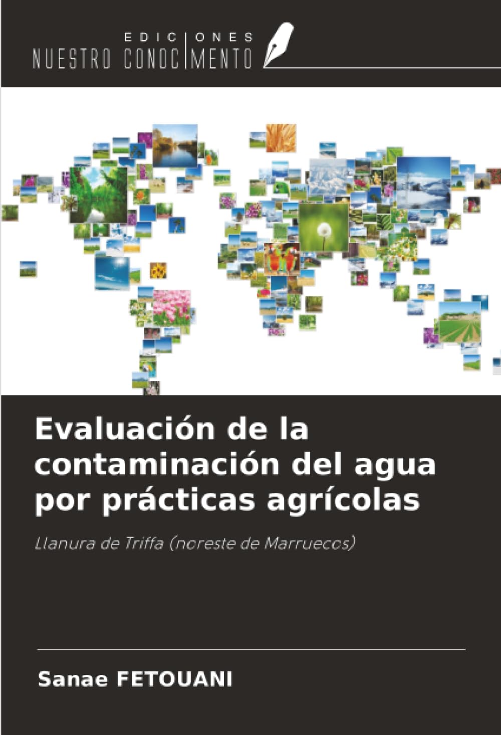 Evaluación de la contaminación del agua por prácticas agrícolas: Llanura de Triffa (noreste de Marruecos)