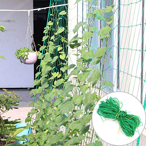 Socobeta Tuinieren Netting, Tuin Mesh Tuin Netting Frame Netting Vijver Netting Hoge dichtheid Nylon voor Komkommer Wijnstok - Image 3