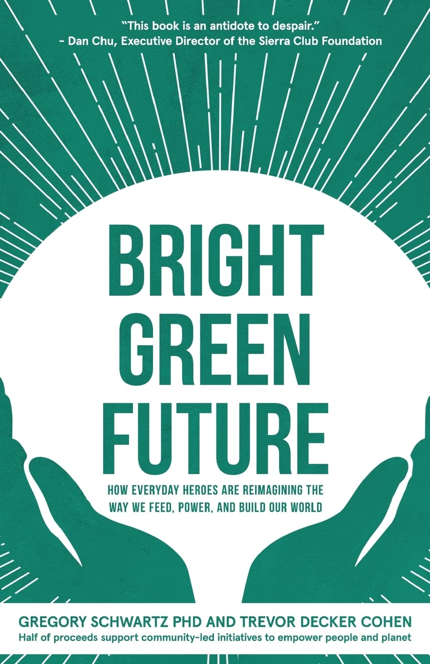 Buy Bright Green Future: How Everyday Heroes Are Re-Imagining the Way We Feed, Power, and Build Our World — BookShops.in