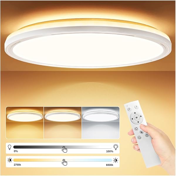 Plafonnier LED 24W avec Télécommande et Rétro-Éclairage