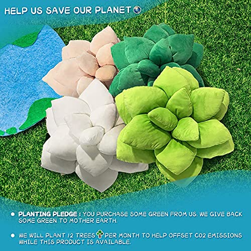 Abound Lifestyle Succulent Pillow, Cute Throw Pillows, Cactus Pillow, Plant Pillow, Plant Shaped Pillow, Leaf Shaped Pillow, Flower Shaped Pillow, Succulent Plush, Cactus Plush, Home Décor #TOP5