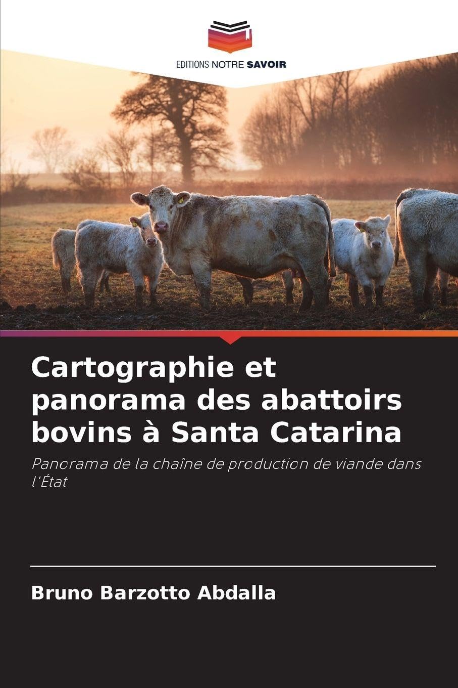 Cartographie et panorama des abattoirs bovins à Santa Catarina: Panorama de la chaîne de production de viande dans l'État