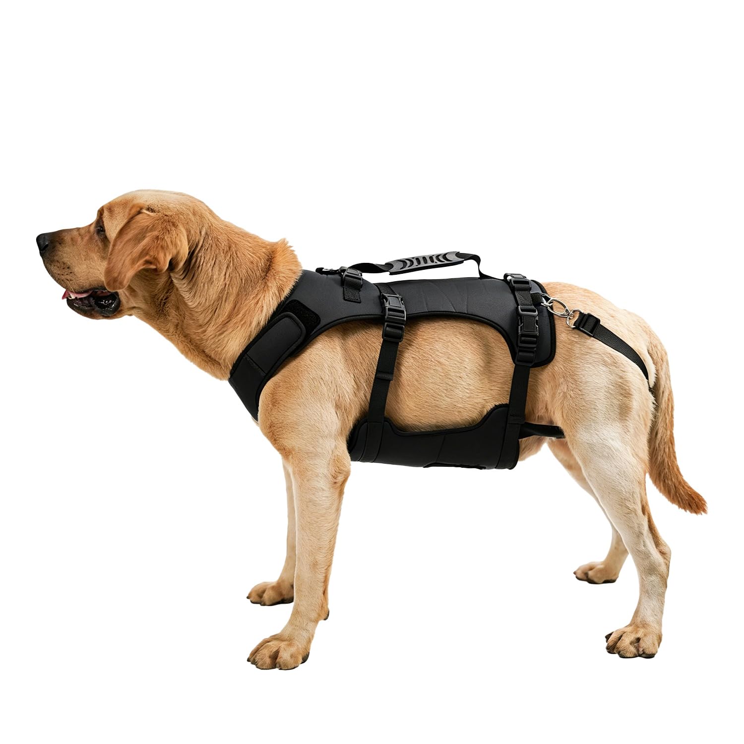 COODEO Dog Harness, Full Body Support & Recovery Sling, Adjustable & Breathable, for Senior, Disabled, Joint Injured, Arthritic & Paralyzed Dogs. (Black, M) — image 1