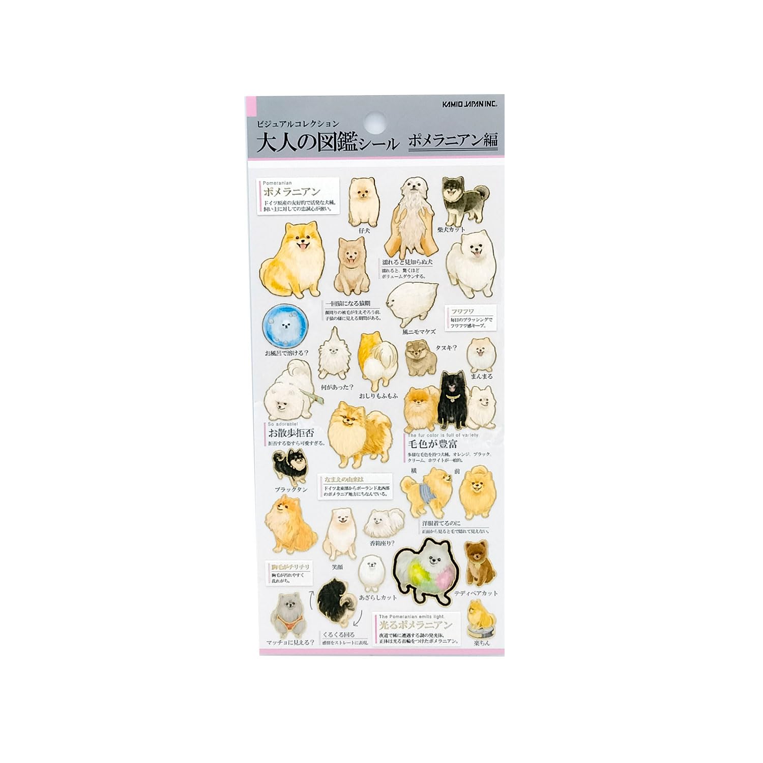 あさん専用 Amazon | カミオジャパン シール 大人の図鑑シール ポメラニアン