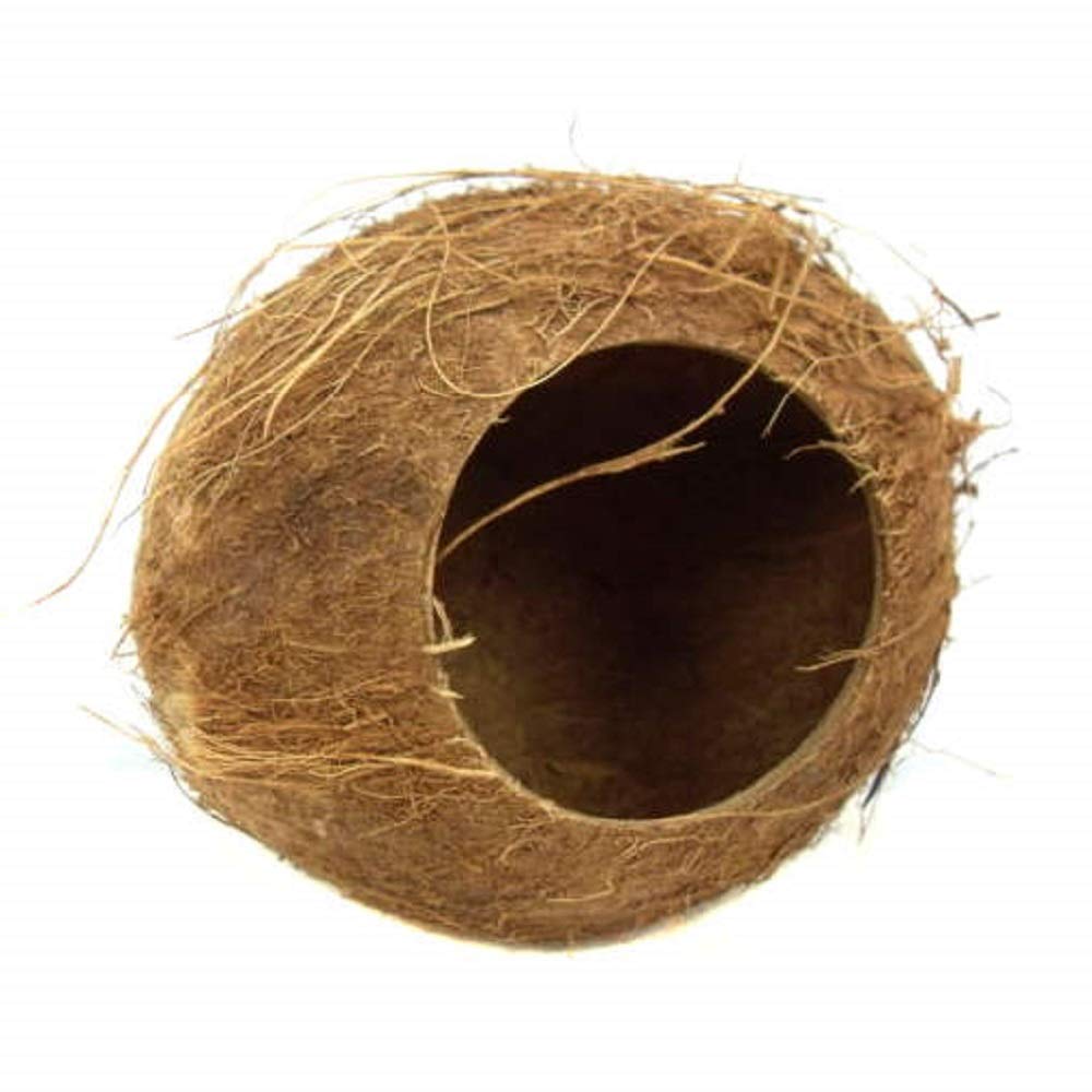 HAPPY PET COCONUT HUT 12cm : Small Animal Hideaway Home Hamster Gerbil Mice Hide