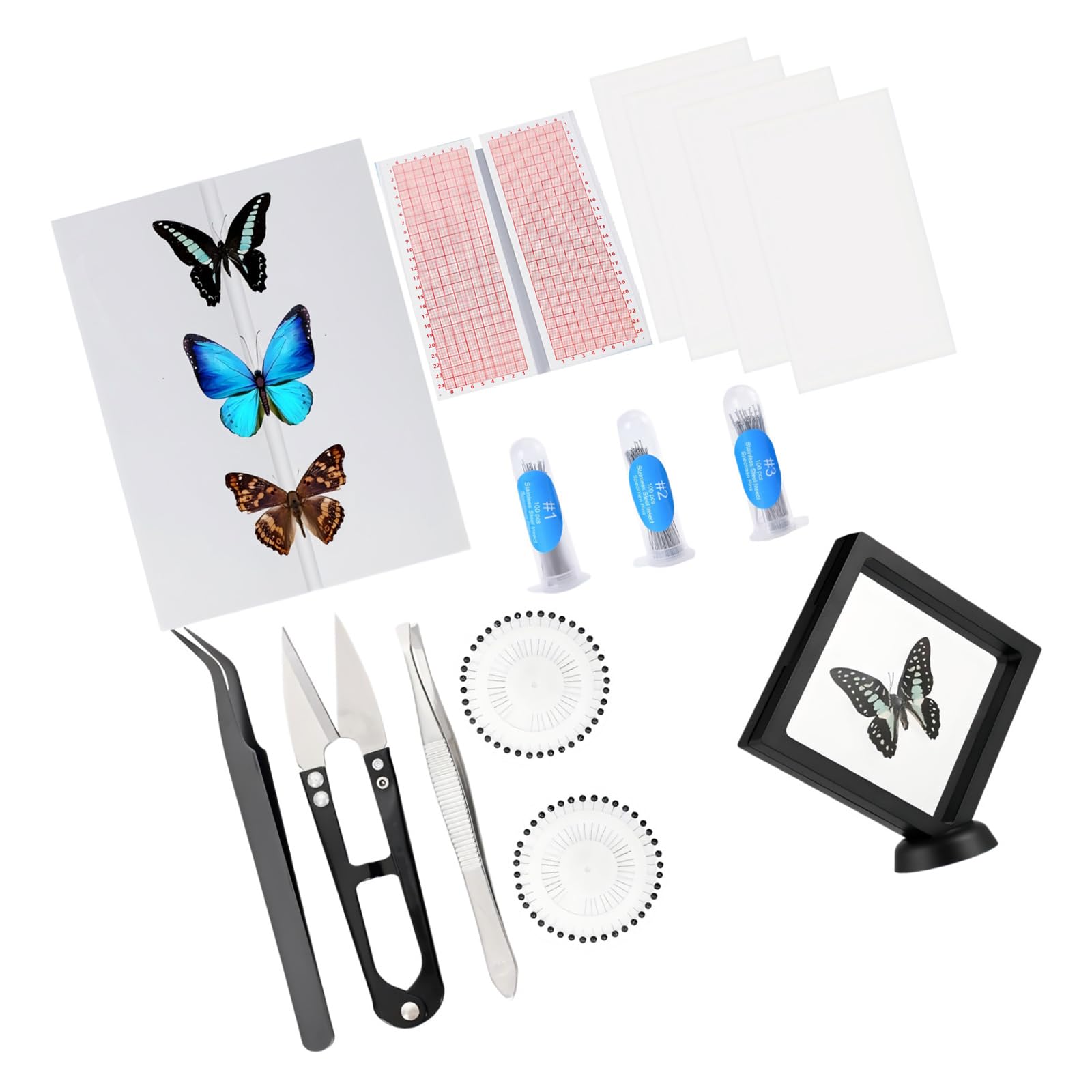 ordinarYone Complete Arthropod Preparation Equipment Set With EVA Foam Pinning Board Coordinate Paper And Stainless Steel Fixation T