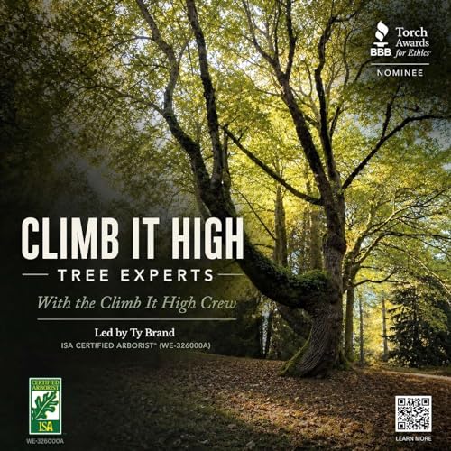 Climb It High Tree Experts Titelbild
