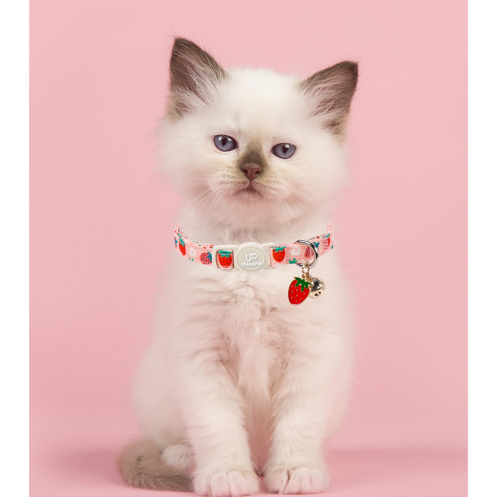 Lot de 2 colliers d'été pour chaton - Pendentif myrtille et pêche - Collier pour chat avec clochette - Pour chat fille et garçon