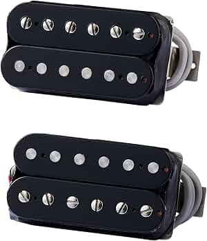 Amazon.com: Gibson 496R/500T Pickup Set, Double Black : Musical