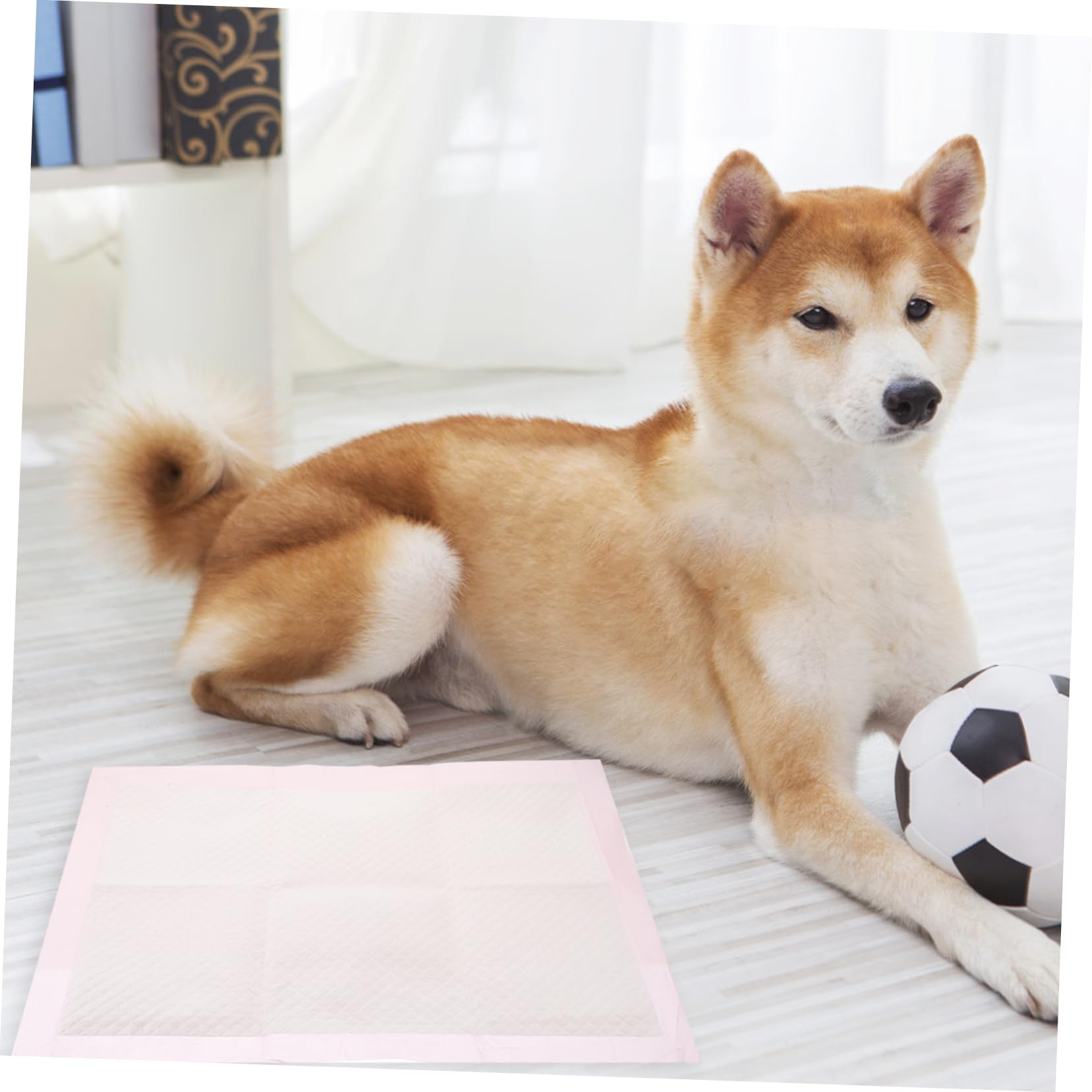 100piezas Empapadores Desechables para Entrenamiento De Mascotas Super Absorbentes y Antideslizantes Almohadillas Impermeables para Perros y Gatos para Adiestramiento Casa