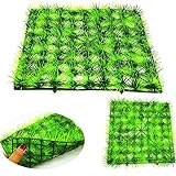 【Schöne Landschaft】: Bestehend aus 81 kleinen Gräsern, sorgfältig entworfen und hergestellt, schaffen Sie eine wunderschöne Landschaft in Ihrem Aquarium!