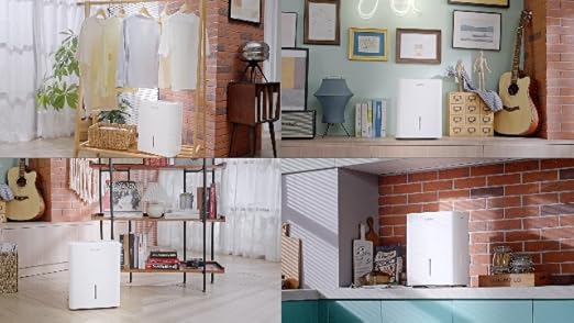 Foto del Deshumidificador