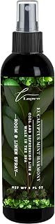 Eucalyptus Mint Harmony Room and Linen Spray | Long-Lasting Fragrance Mist | Premium Scented Fabric and Air Freshener for Home, Car & Office (8 oz) | Odor Eliminator | Made in USA