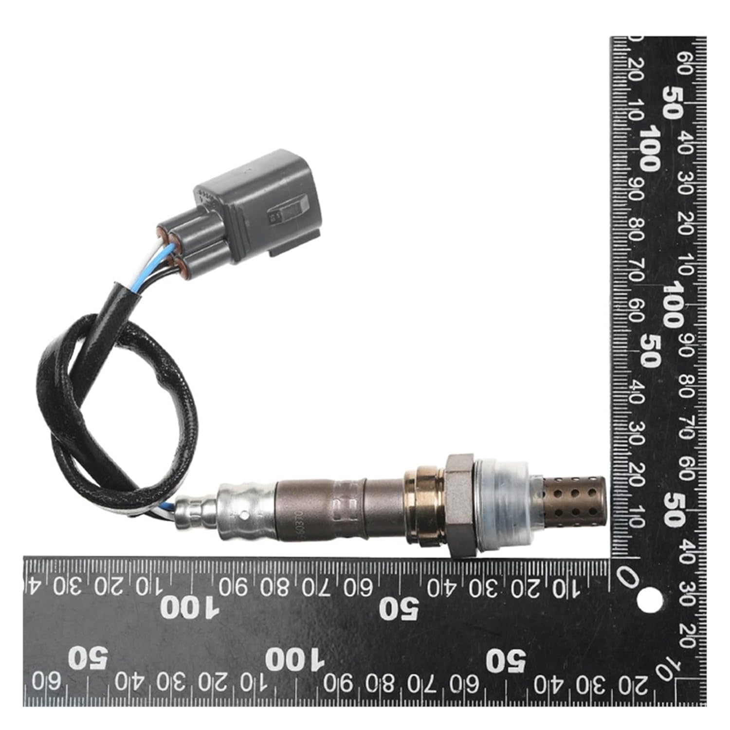 オガサカ ケオッズKS-AX RC600FLプレート 165cm