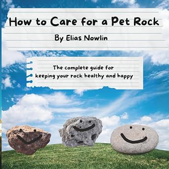 How to Care for a Pet Rock The complete guide for keeping your rock healthy and happy