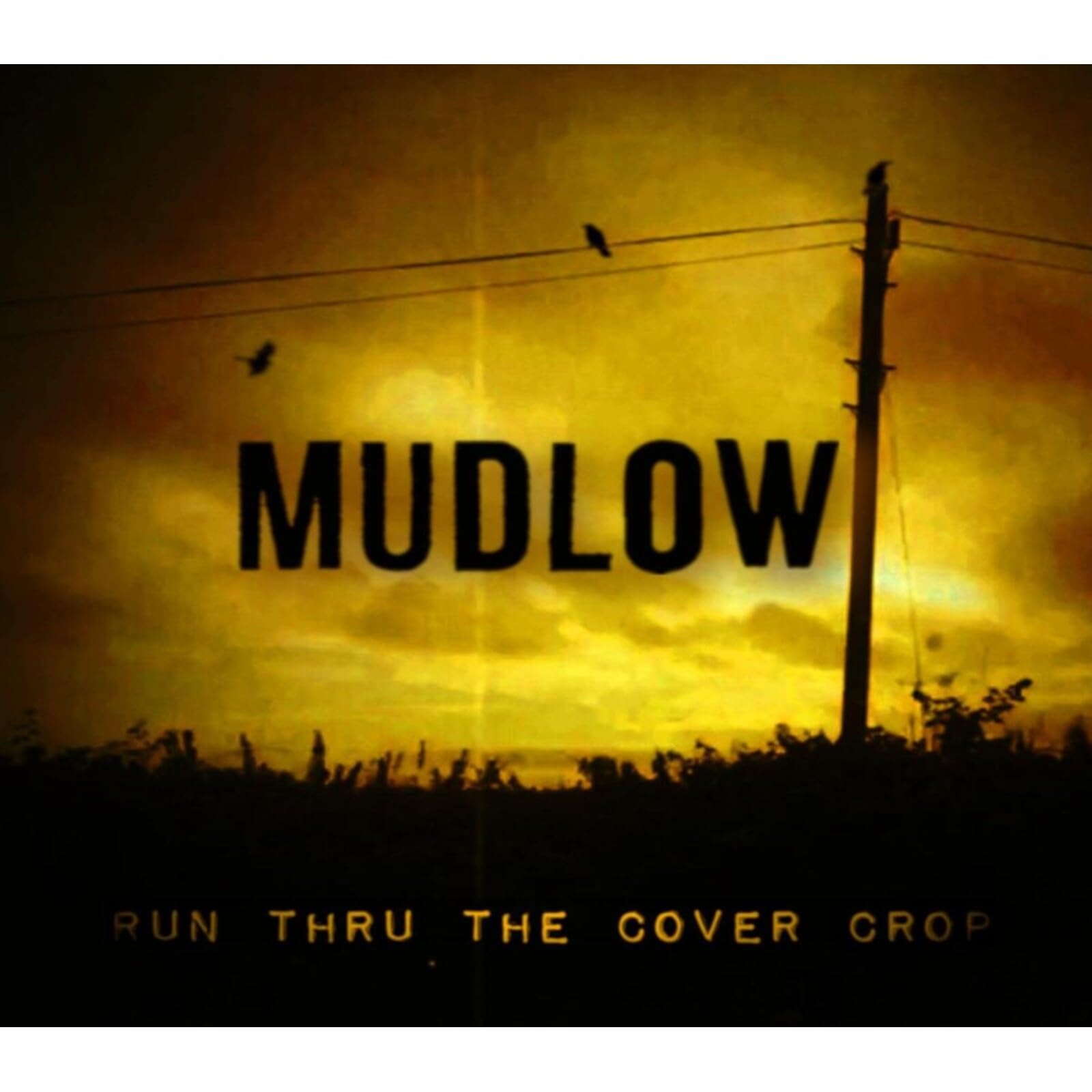 Run Thru The Cover Crop [VINYL]