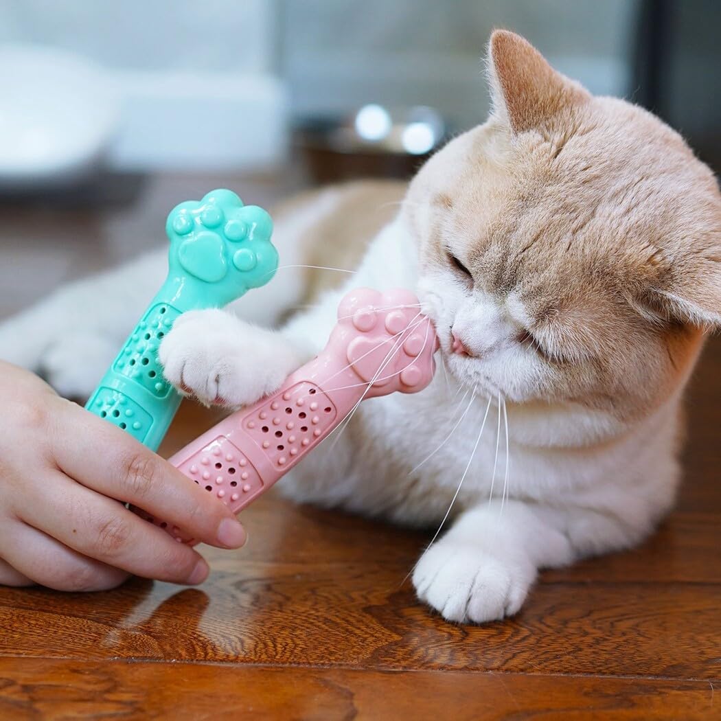 2 Jouets Pour Chat Avec Herbe à Chat - Forme Tête De Mort Et Chauve-souris, Jouet Interactif Halloween - 10