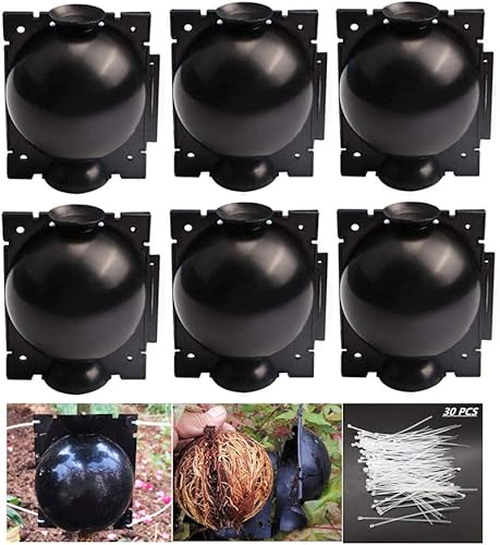 HAIZHINA Vainas de capas de aire, Dispositivo reutilizable de enraizamiento de plantas de enraizamiento de plantas, caja de cultivo de alta presión