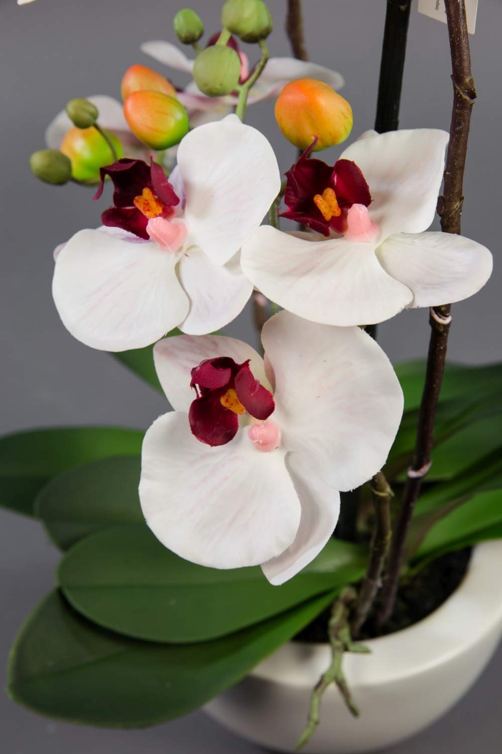 Seidenblumen Roß Orchidee Real Touch 58x28cm weiß-Bordeaux in weißer Keramikschale GA Kunstblumen Kunstpflanzen künstliche Phalaenopsis Blumen Pflanzen