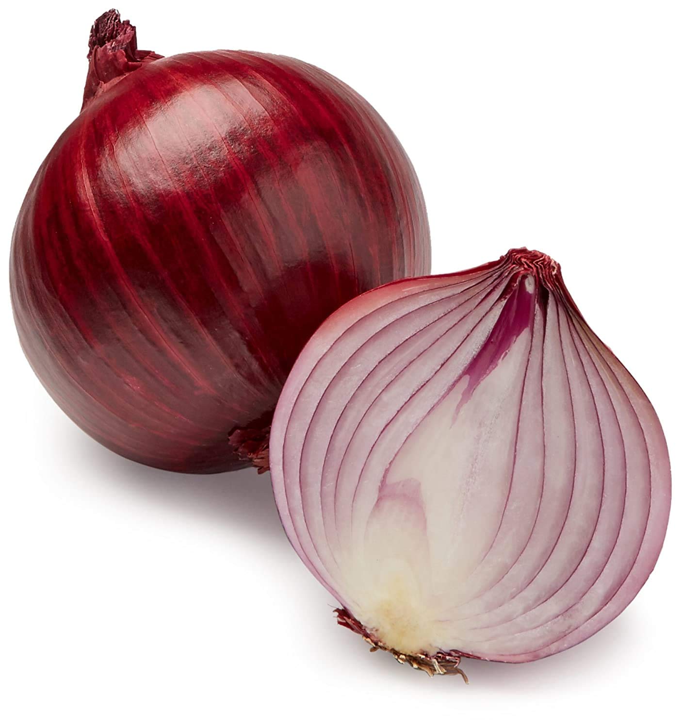 Onion Red Fresh Organic F1 Hybrid Vegetable Seeds for Home and Kitchen Outdoor Gardening Planting Farming (Red) (B08DL6WD1L) Amazon Price History, Amazon Price Tracker