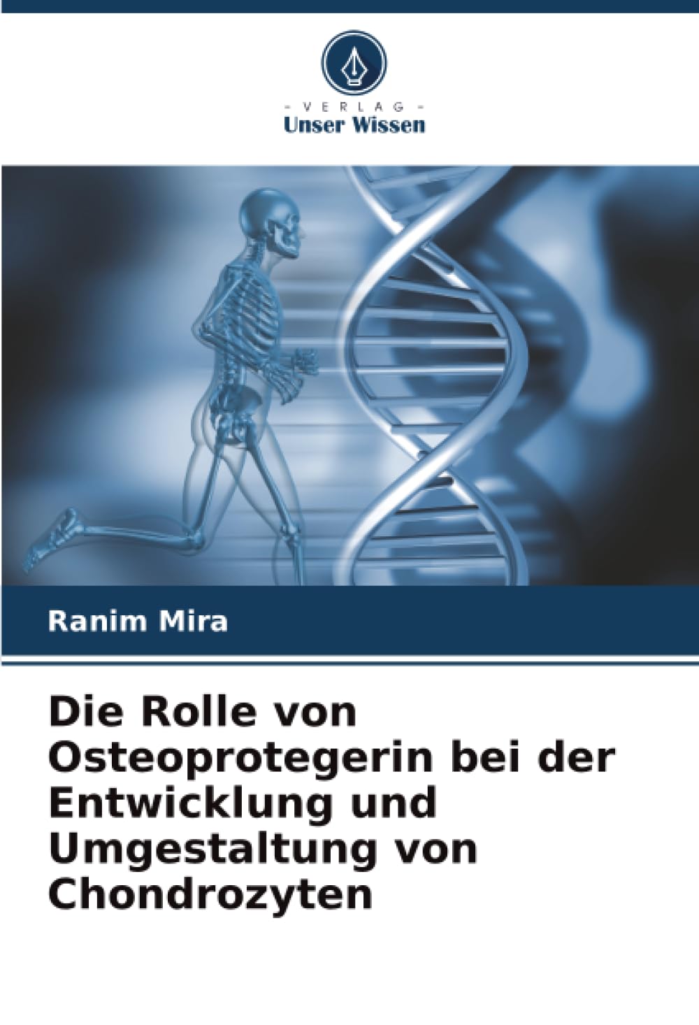 Die Rolle von Osteoprotegerin bei der Entwicklung und Umgestaltung von Chondrozyten