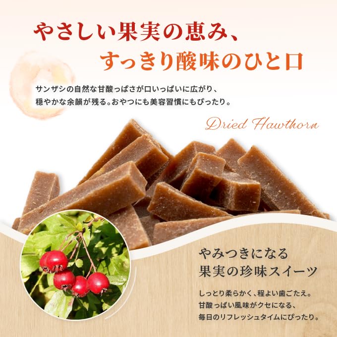 サンザシ　山木　山採り　採取後80年以上 サンザシ(山査子) 北京(ペキン)の地掘大苗 - 果樹苗・大苗・苗木販売の