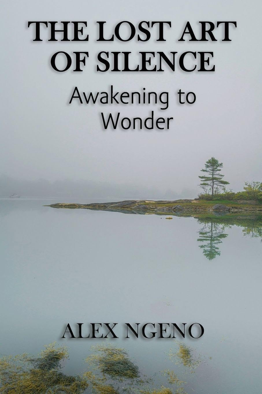 The Lost Art of Silence: Awakening to Wonder
