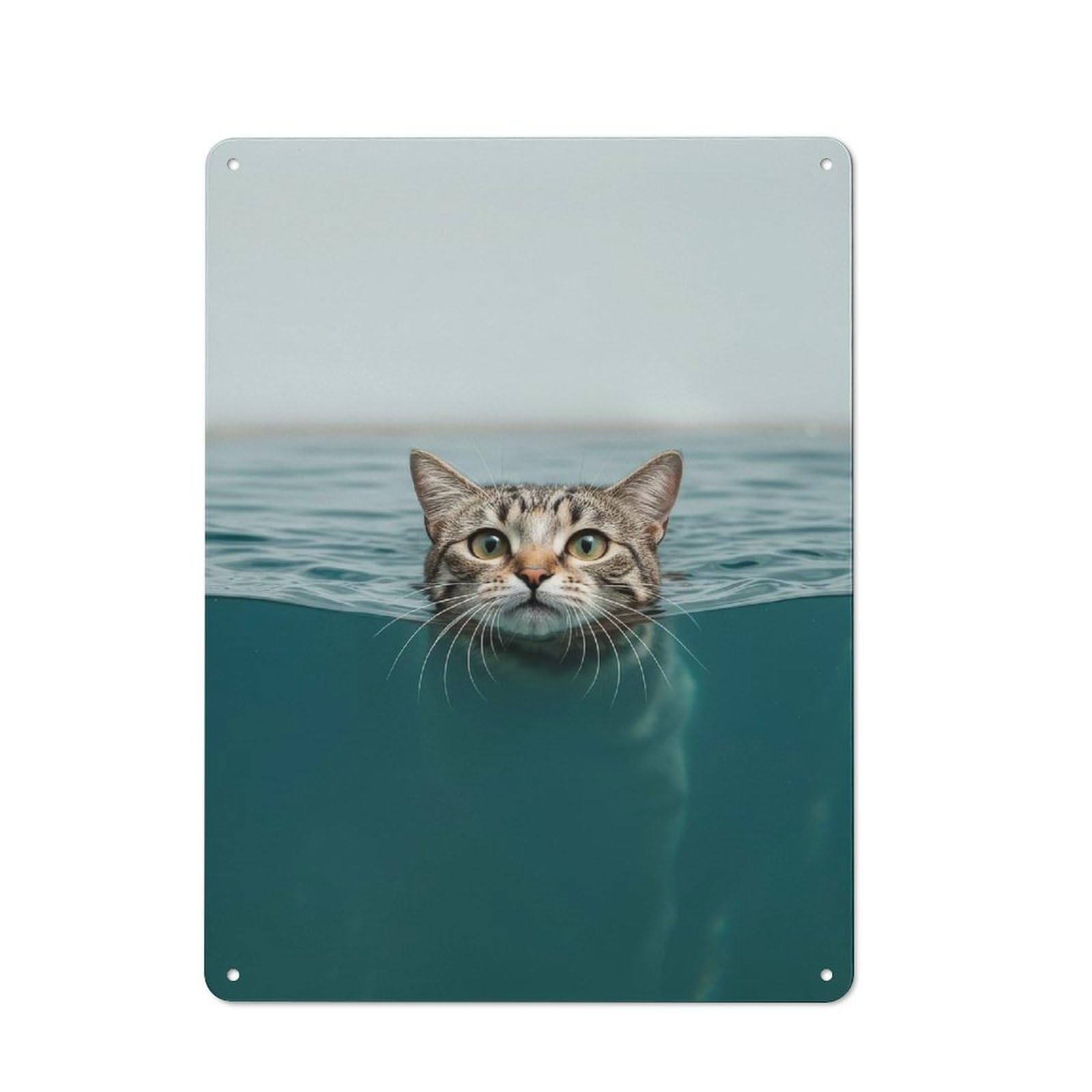 Shed Metal Sign with Cat Swimming in Water Design 40x30cm, Outdoor Room Utility Space Decor for Greenhouse, Garden Room, Cafe Or Entryway