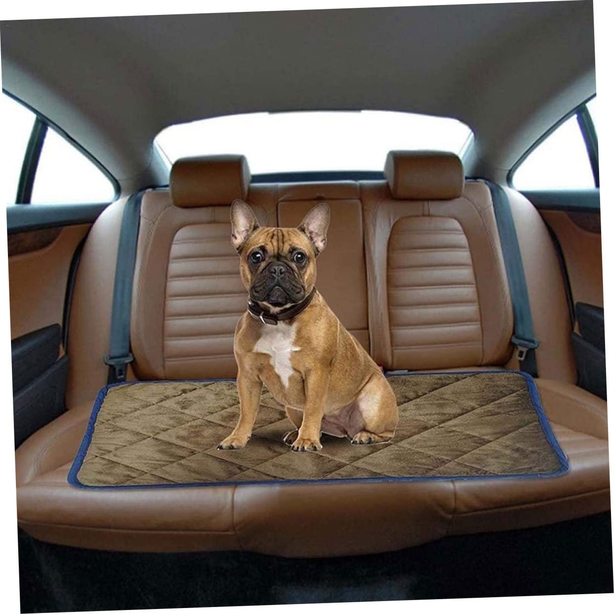 FOMIYES Tapis Chauffant pour Animaux de Compagnie Autochauffant Hiver