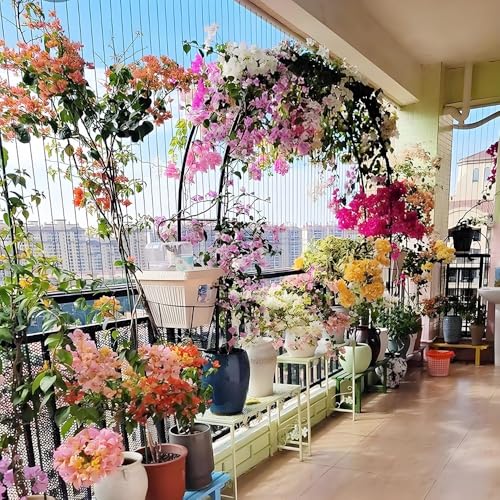 Treillis métallique robuste et réglable pour rosiers et potager