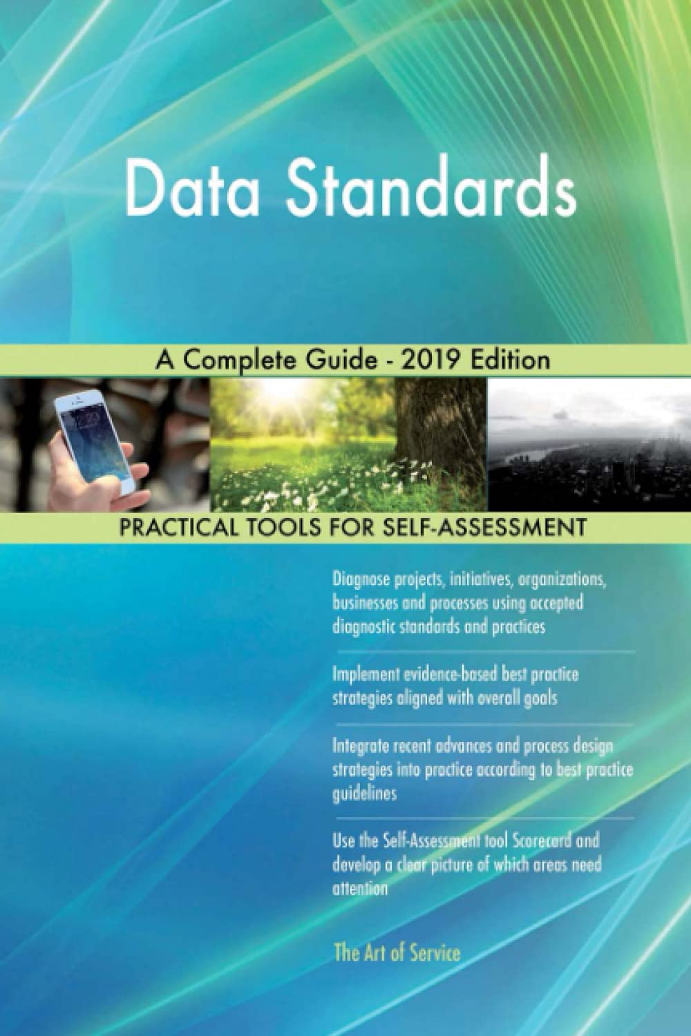 Buy Data Standards A Complete Guide 2019 Edition Book Online at Low