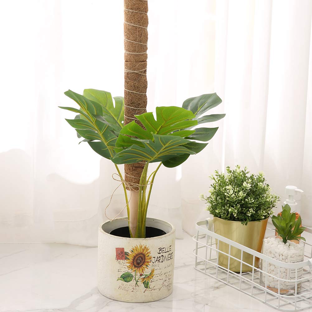 Moss Pole for Climbing Plants