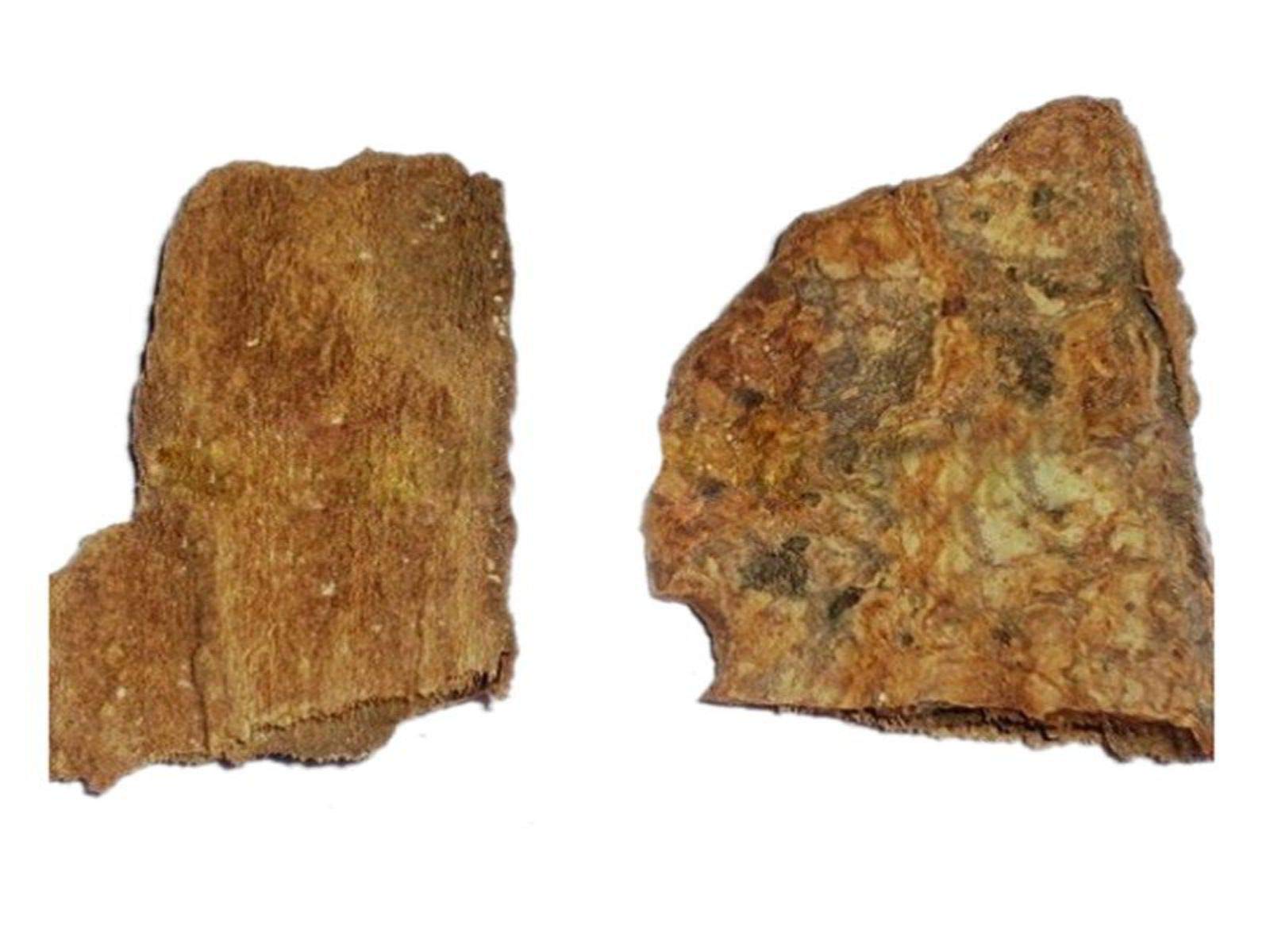 vinarghya Organic Khanduchakra Chaal Ovate Leaved Ivory Wood Vadhavaradi Bhairi Chamror Kalo Gamdo Caranti Datrangi Ajaanvruksha Ehretia Laevis 100g