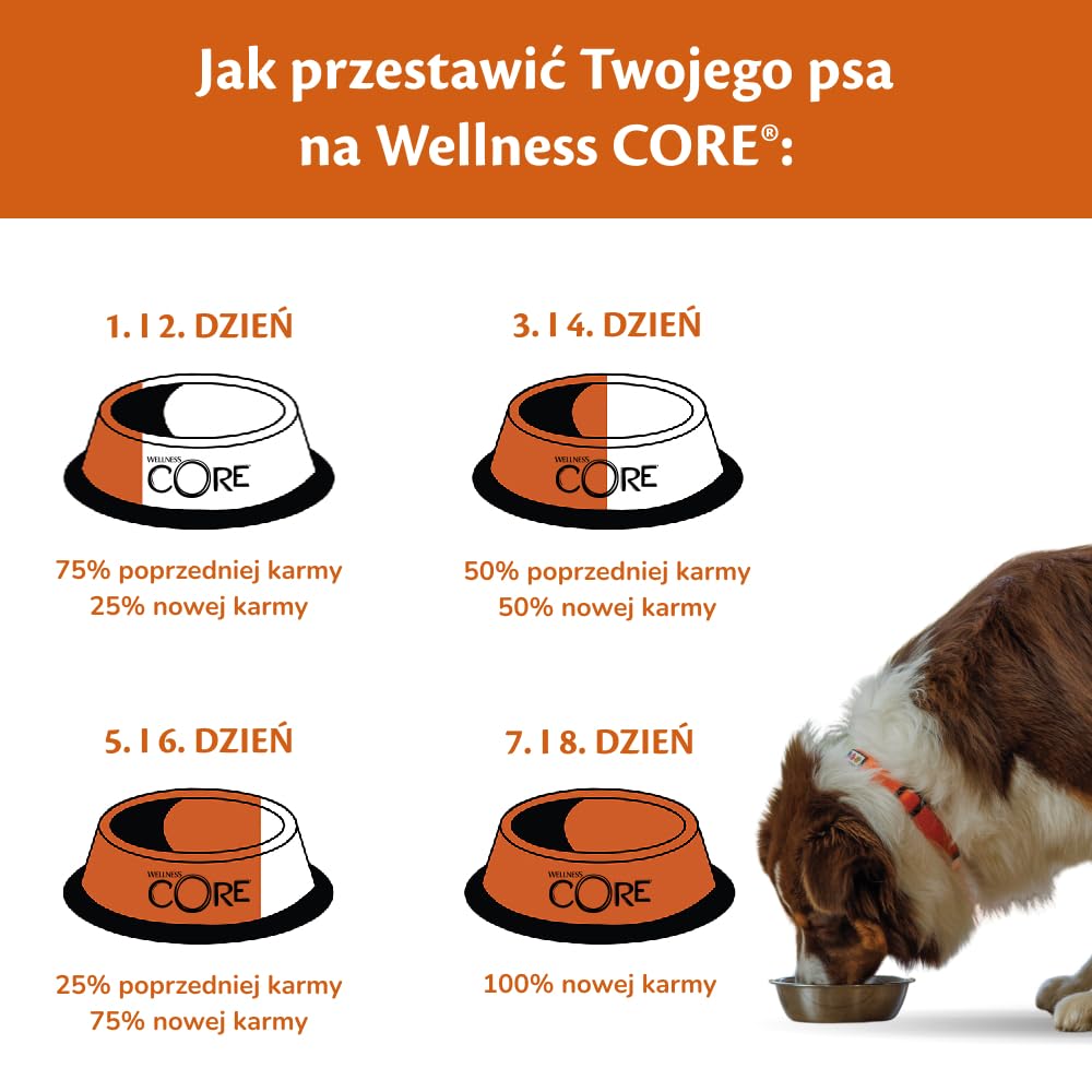Wellness CORE Ocean 10 kg, Łosoś i Tuńczyk – Sucha Karma dla Psów Średnich i Dużych Ras, Bezzbożowa, Naturalna, Hipoalergiczna, o Wysokiej Zawartości Ryb, Wspiera Zdrową Skórę i Lśniącą Sierść