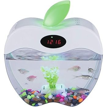 cute small aquariums